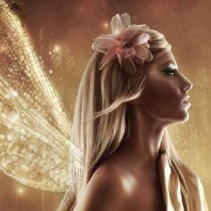 Meet your Posher, Luz